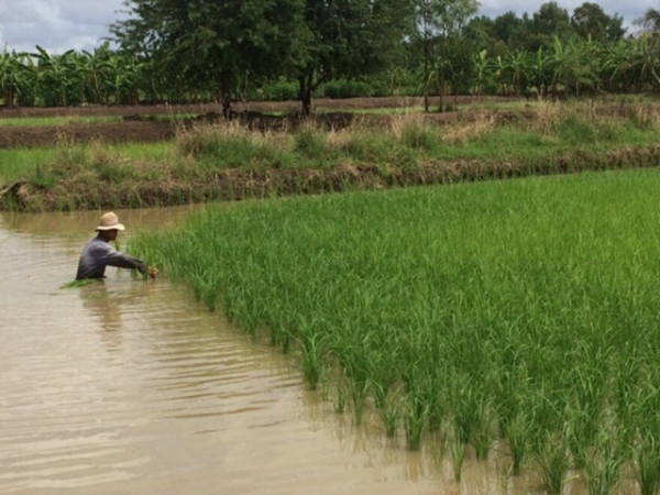 Nơi được chứng nhận nuôi thủy sản có trách nhiệm