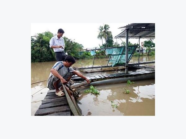 Bảo vệ cá lồng, bè mùa mưa bão