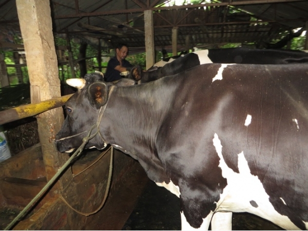 Trang trại chăn nuôi liên hoàn mang lại hiệu quả kinh tế