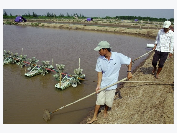 Tăng cường quản lý dịch bệnh