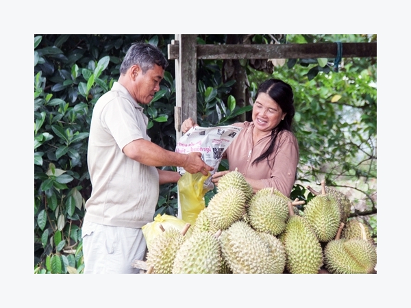 Đường “sáng” cho nông dân ổn định, bền vững