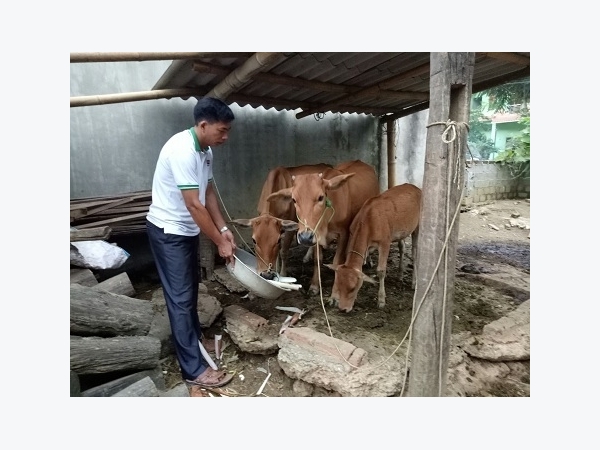 Thu hàng trăm triệu đồng/năm từ mô hình trang trại tổng hợp