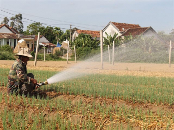 Phân hữu cơ từ chất thải chăn nuôi hút hàng