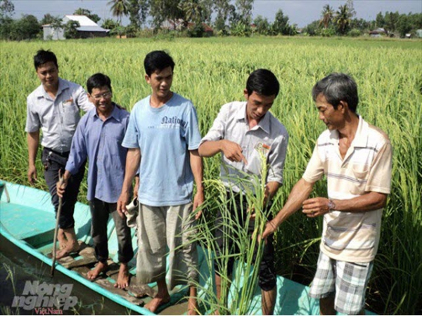 Bạc Liêu phát triển tôm sạch, lúa an toàn