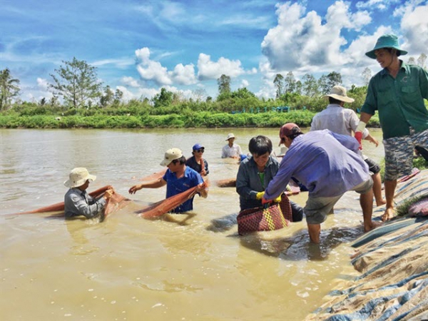 Nuôi tôm công nghệ 234