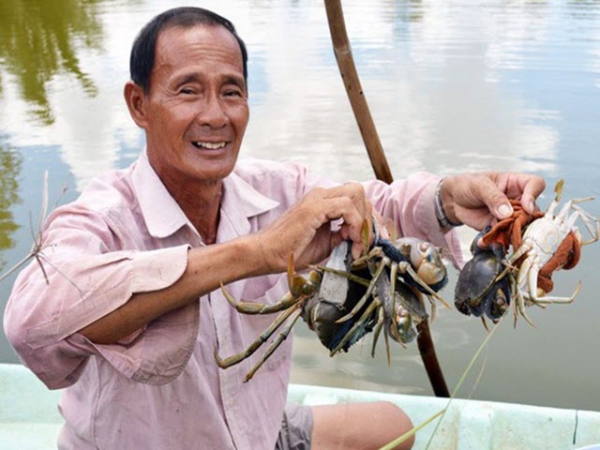 Nuôi tôm, cua “khác người”, 1 nông dân tỉnh Cà Mau lãi tiền tỷ