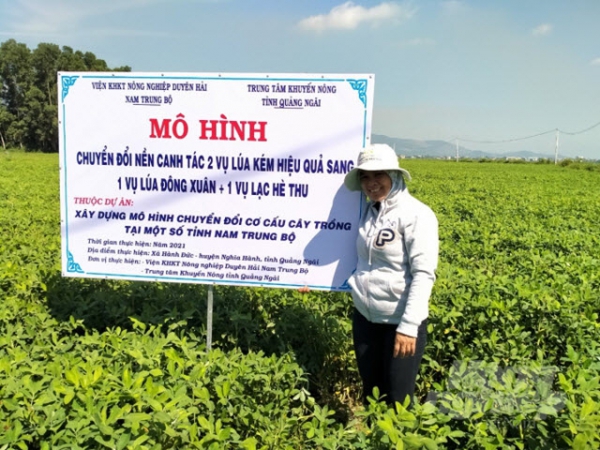 Chuyển đổi thành công đất lúa kém hiệu quả sang cây trồng cạn