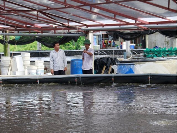 Đa dạng đối tượng nuôi trồng thuỷ sản vụ xuân hè