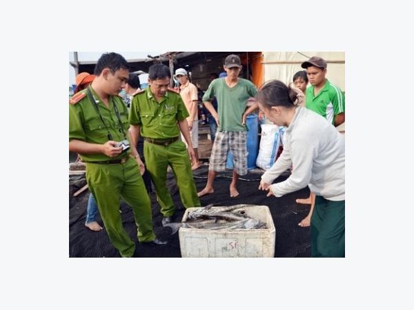 Cá lồng bè chết hàng loạt