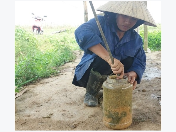 Biến đất bỏ hoang thành 