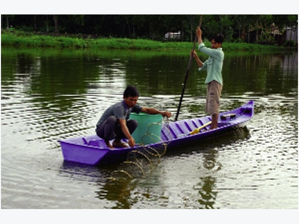 Nuôi tôm giữ môi trường