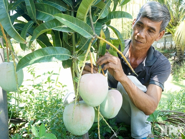 LẠ MÀ HAY: 