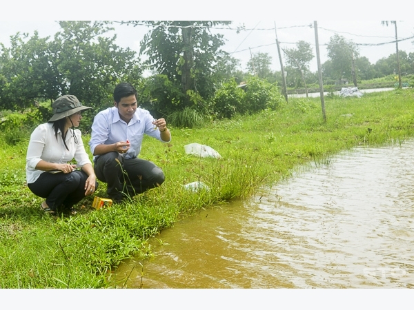 Tăng cường giải pháp quản lý ao tôm trong mùa mưa