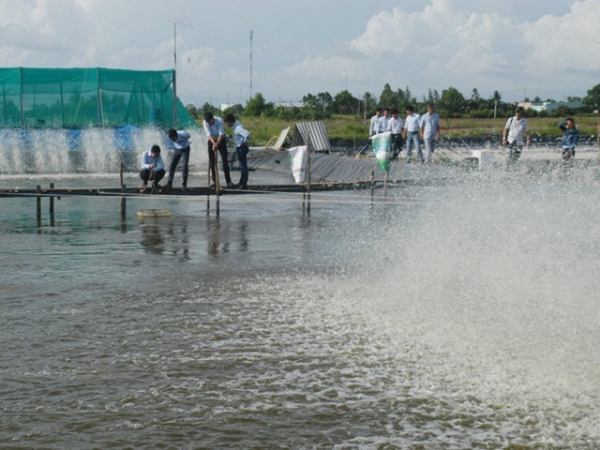 Phương pháp dùng thuốc trong nuôi trồng thủy sản