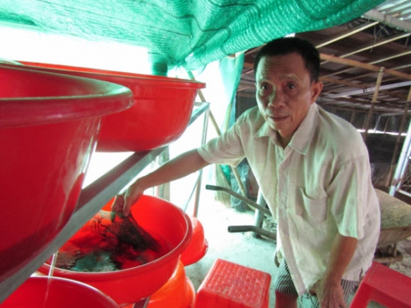 Làm giàu từ mô hình khép kín ở Vĩnh Long