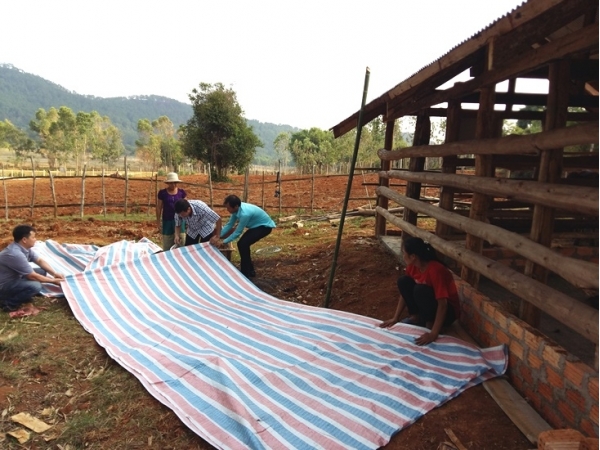 Phòng chống dịch bệnh cho vật nuôi trong mùa mưa bão