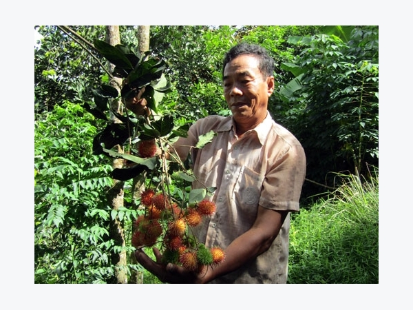 Làm giàu từ mô hình “gọi ngược” kiểu 