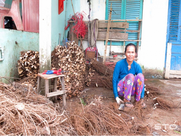 Cây thuốc diệt cá