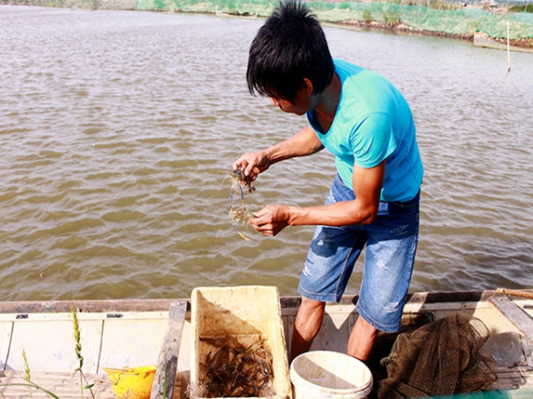 Các mô hình khuyến ngư mới: Hướng đến thị trường du lịch tiềm năng