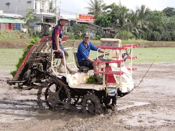 Máy cấy lúa Mảnh ghép cho nông nghiệp công nghệ cao