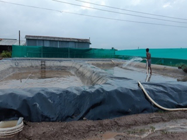 Xử lý nước thải nuôi tôm siêu thâm canh bằng biogas