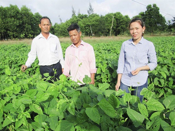 Sản xuất cây trồng cạn áp dụng tưới tiết kiệm: Tối ưu trên cả ba mặt