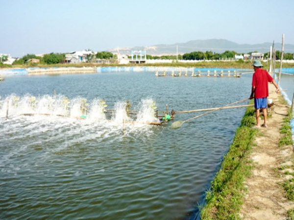 Biện pháp xử lý khi ao thiếu ôxy