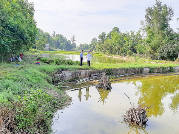 Tiên phong nuôi cá leo thương phẩm trong ao đất