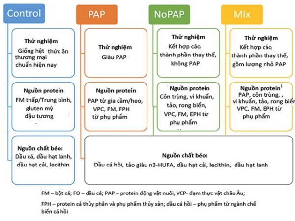 Xây dựng công thức thức ăn mới và bền vững tại Châu Âu