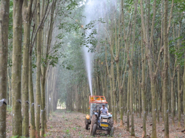 Những sáng kiến hữu ích trong ngành cao su