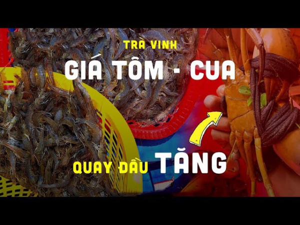 Cầu vượt cung, giá tôm cua ở Trà Vinh quay đầu tăng