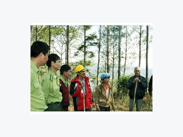 149.100 ha đất rừng bị tranh chấp, lấn chiếm