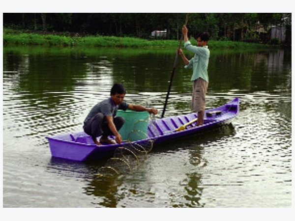 Một số loài tảo độc trong ao và giải pháp phòng trừ