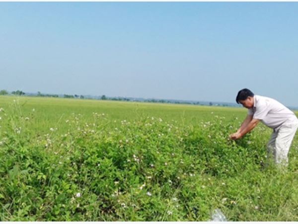 Làm nông nghiệp sạch với mô hình 