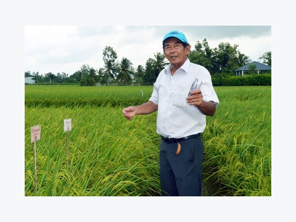 Tiến sĩ Cua: 25 năm nghiên cứu cho một thương hiệu gạo 