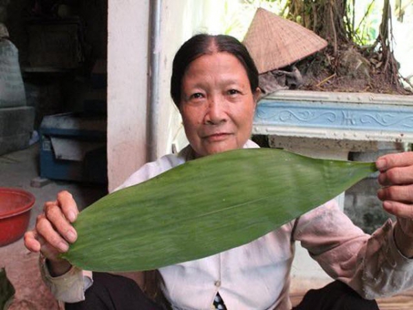 Nhặt lá tre rụng về bán mà thành tỷ phú