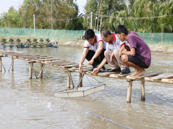 Lợi như vi sinh