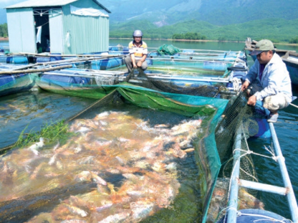 5 bài học để nuôi thủy sản thành công