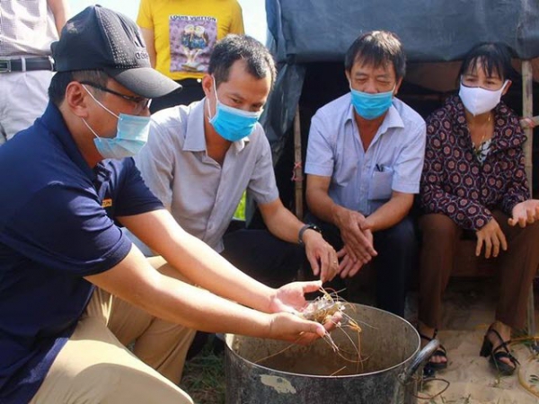 Đa dạng trong hình thức nuôi tôm càng xanh