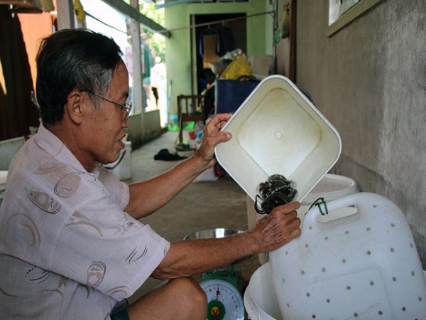 Độc đáo nuôi lươn trong can nhựa, thu nhập hàng trăm triệu đồng