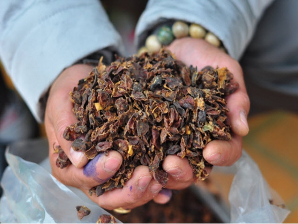 Tận dụng vỏ cà phê để làm trà cascara cao cấp