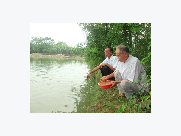 Biến đồng hoang thành tiền tỷ