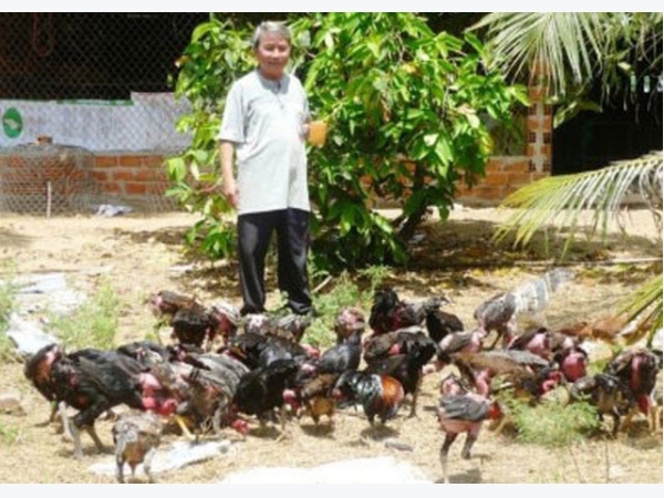 Bí quyết làm giàu: Trang trại trên cát sỏi