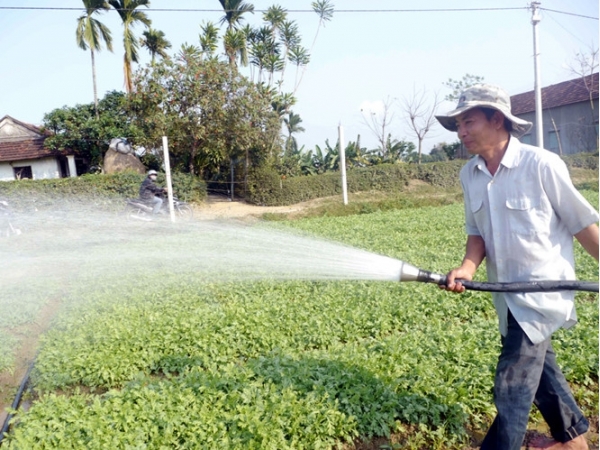 Bí quyết làm giàu: Sống khỏe nhờ trồng rau sạch