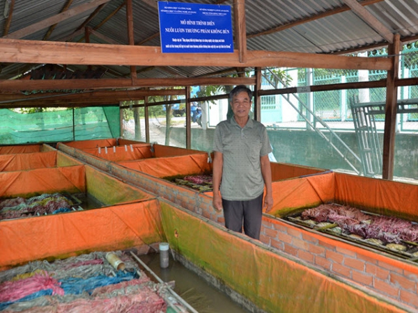 Nuôi lươn không bùn theo tiêu chuẩn VietGap