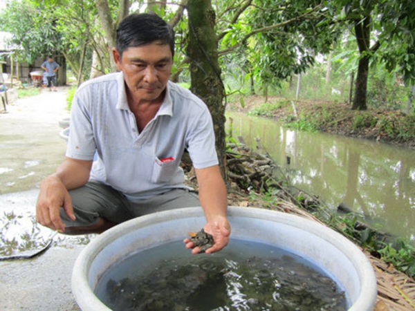 Đổi đời thành tỷ phú miền Tây nhờ nuôi loài bò sát dưới ao bèo