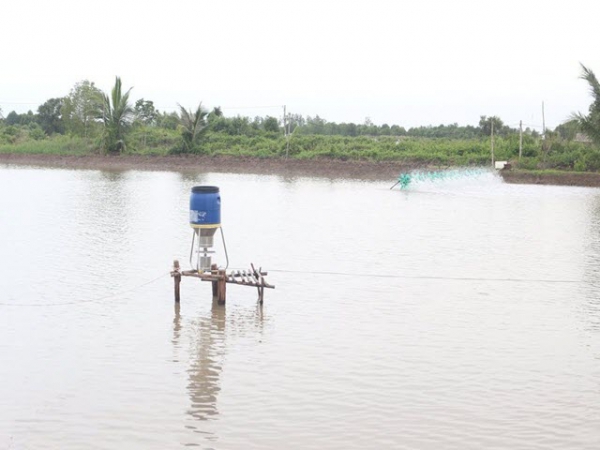 Sử dụng máy cho tôm ăn tự động