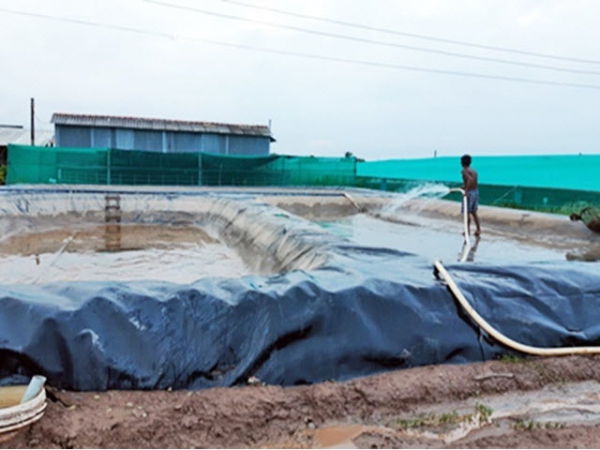 Xử lý nước thải nuôi tôm siêu thâm canh bằng biogas