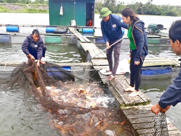 Hướng dẫn đảm bảo an toàn cho nuôi cá trong mùa lũ