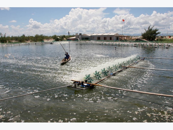 Tăng cường sản xuất và phòng, chống rét trong nuôi trồng thủy sản